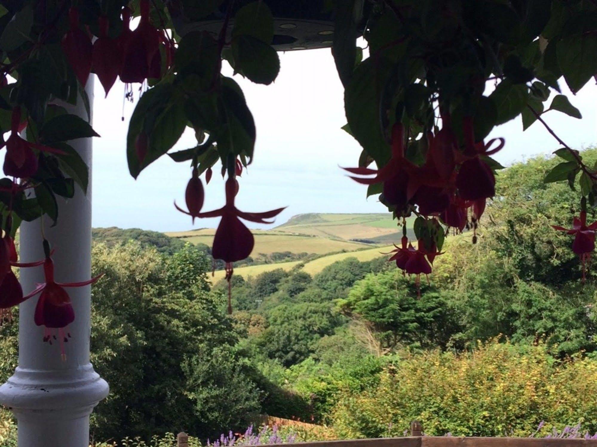 Boscastle House Bed & Breakfast Екстериор снимка